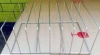 ВСТАВКА ДЛЯ ПЕКАРСКИХ ЛИСТОВ COMENDA 530225